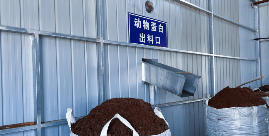 達拉特旗構建“五位一體”病死畜禽無害化處理模式，推動生物有機肥料研發保障食品與生態安全