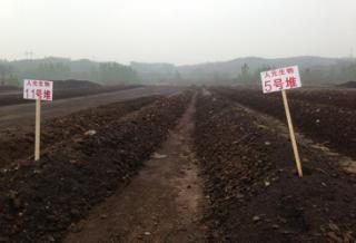 微生物肥料 綠色農業的新引擎，生物質能技術服務的市場價值